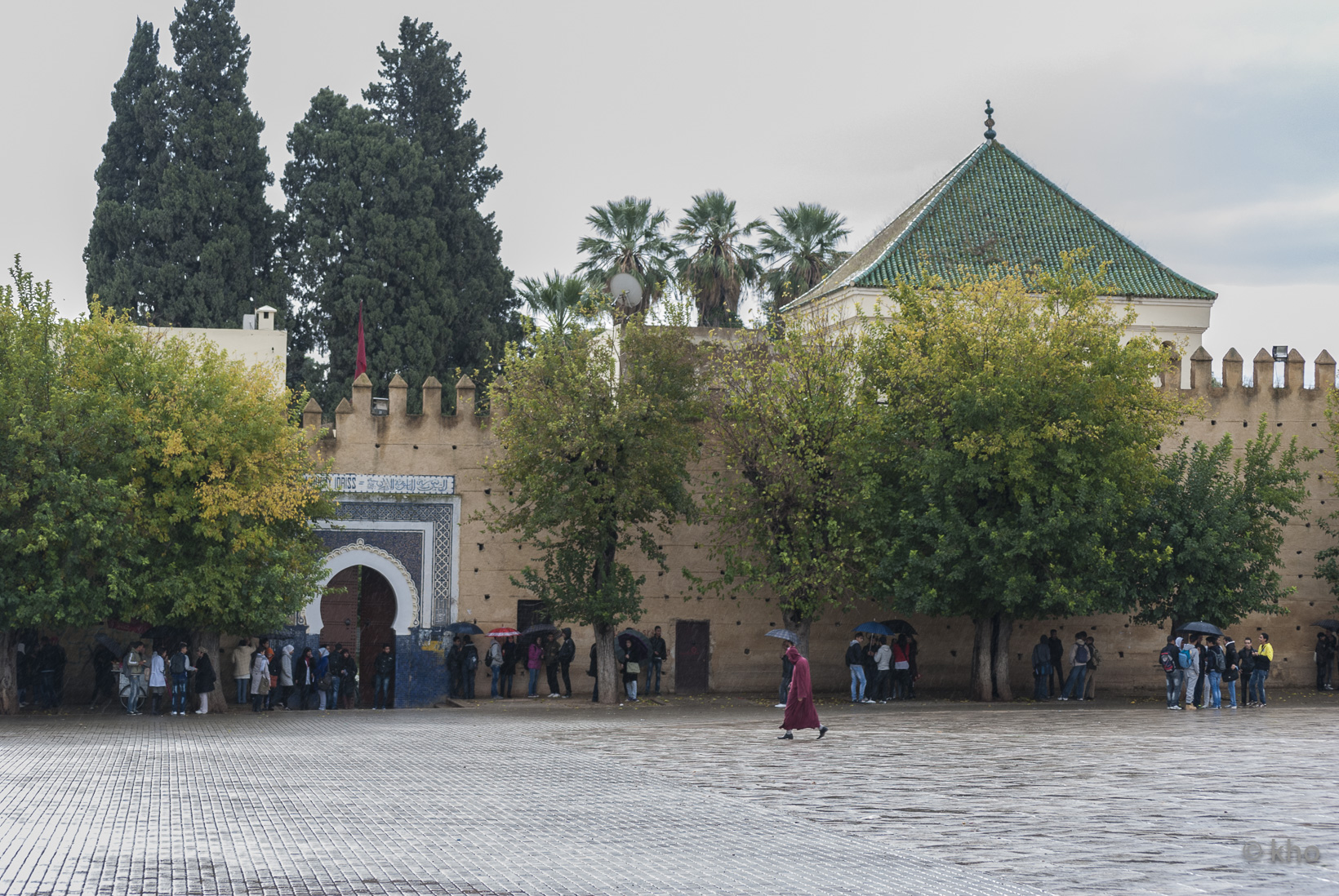 DSC_9413.jpg