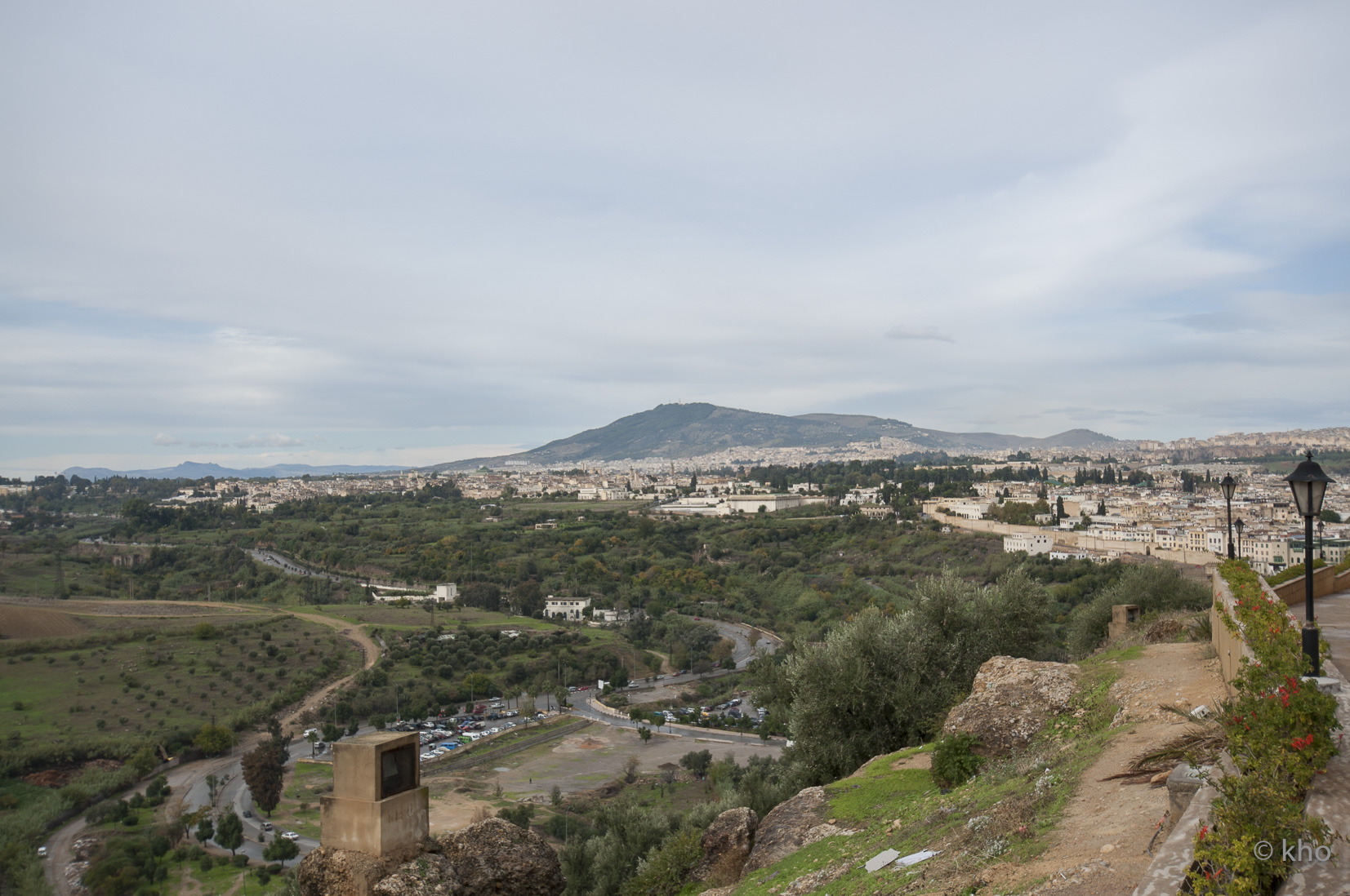 _DSC8009.jpg