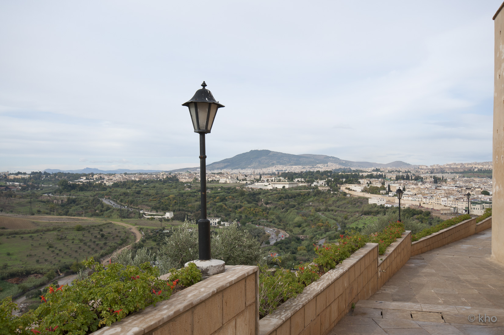 _DSC8011.jpg