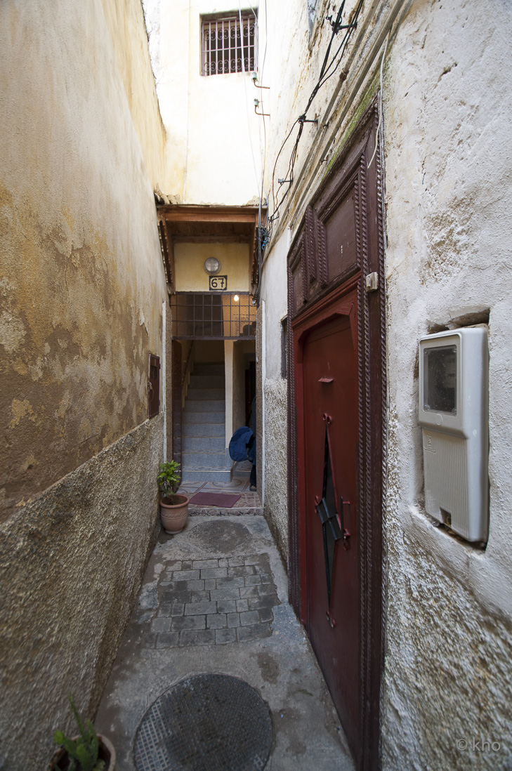 _DSC8144.jpg