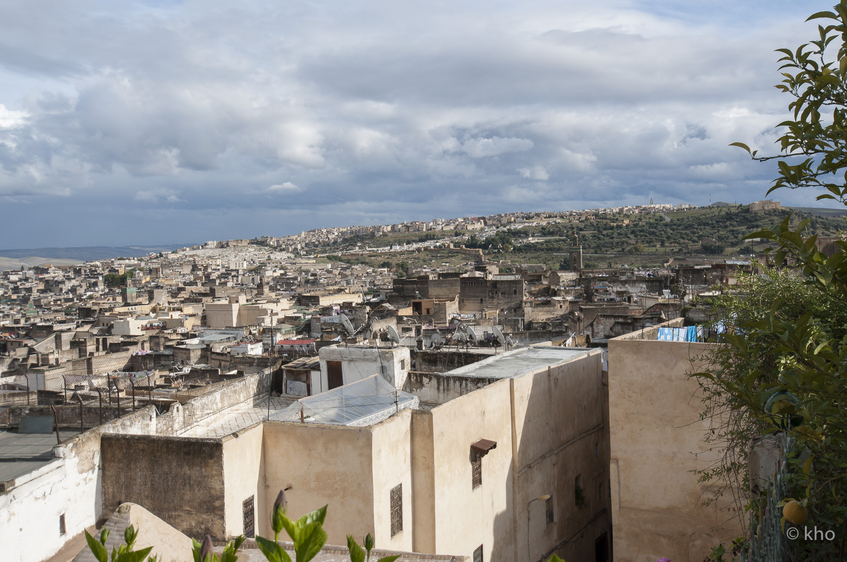 _DSC8233.jpg
