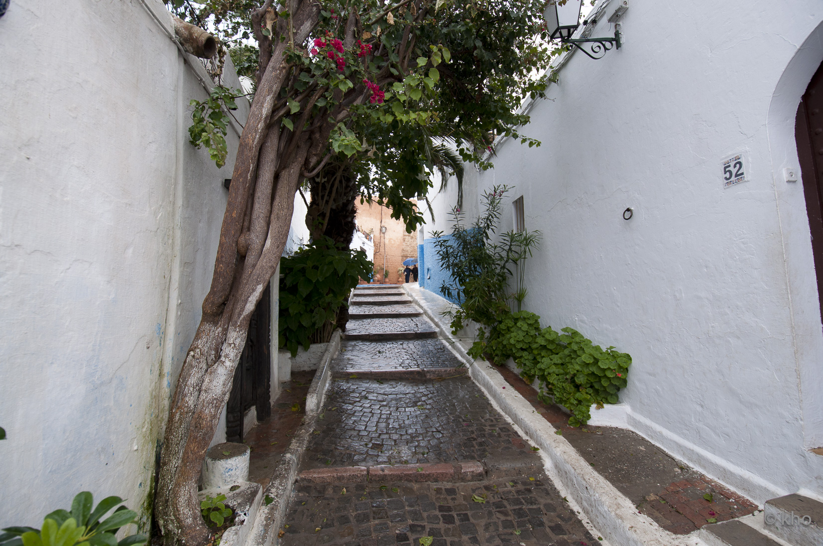 _DSC7848.jpg