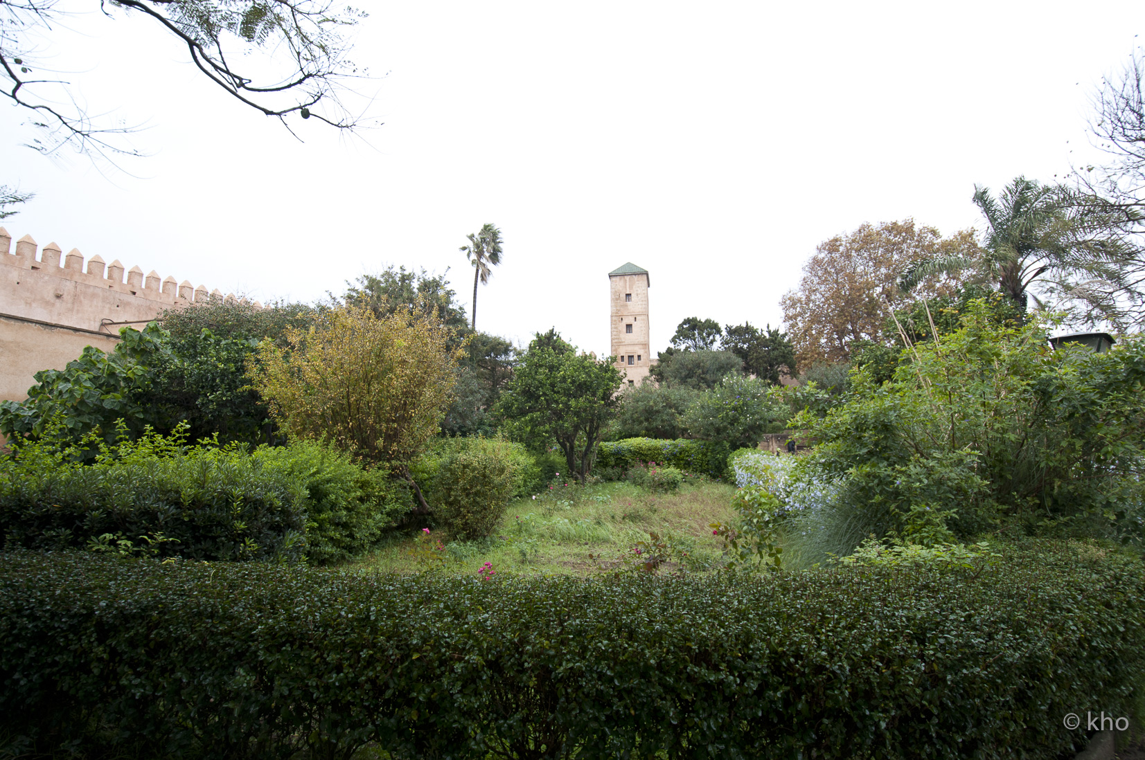 _DSC7867.jpg