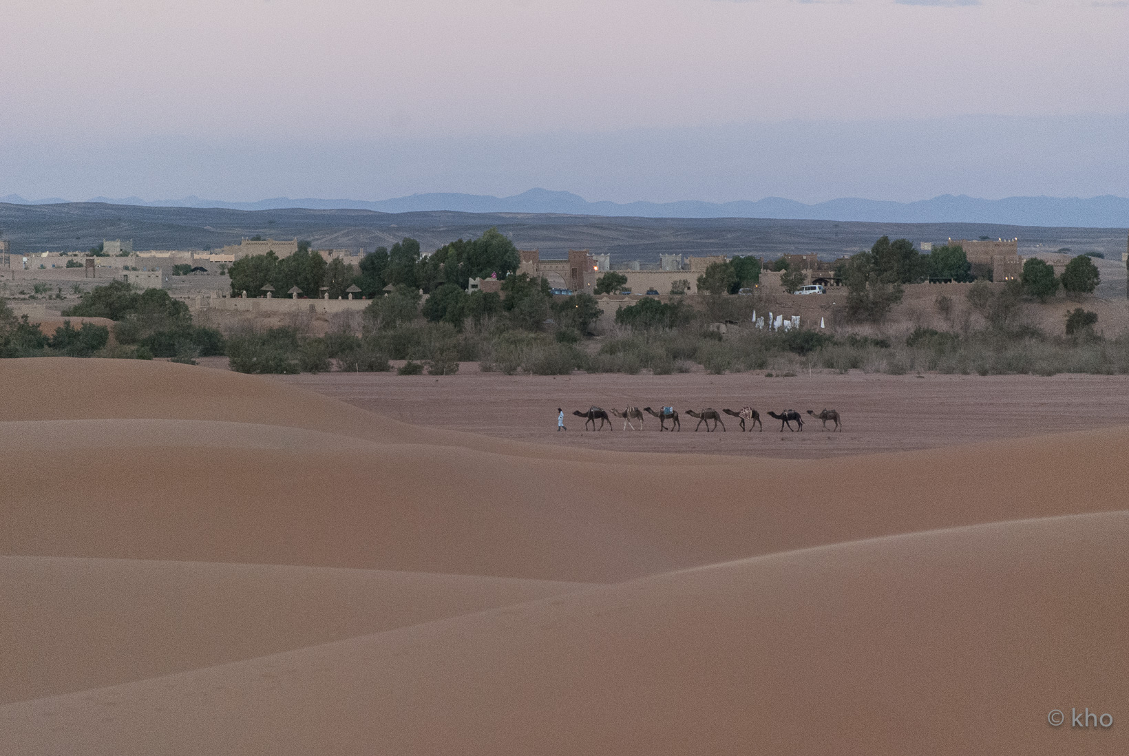 DSC_9562.jpg