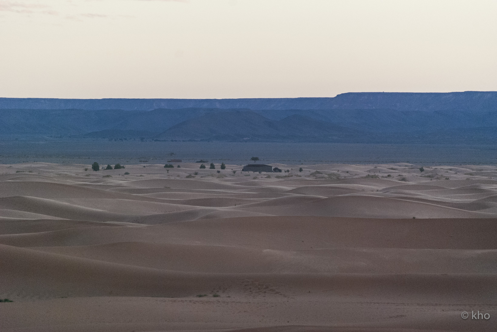 DSC_9563.jpg