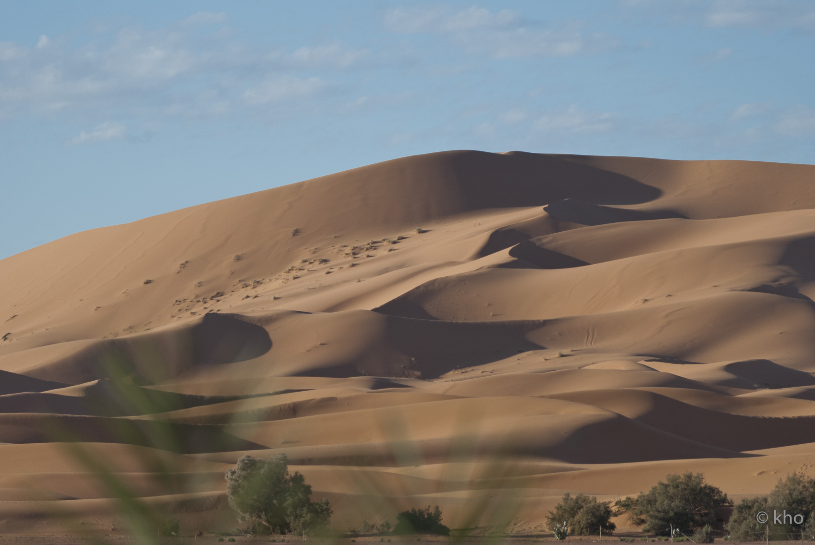 DSC_9576.jpg