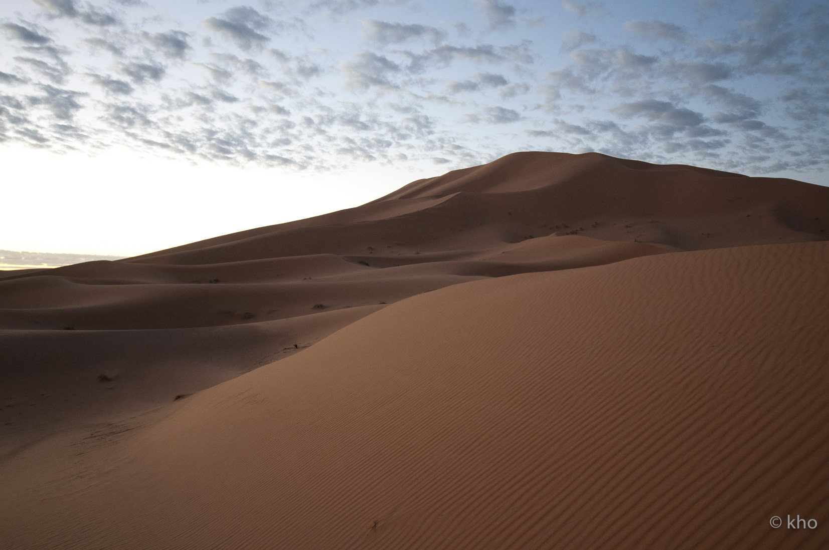 _DSC8789.jpg