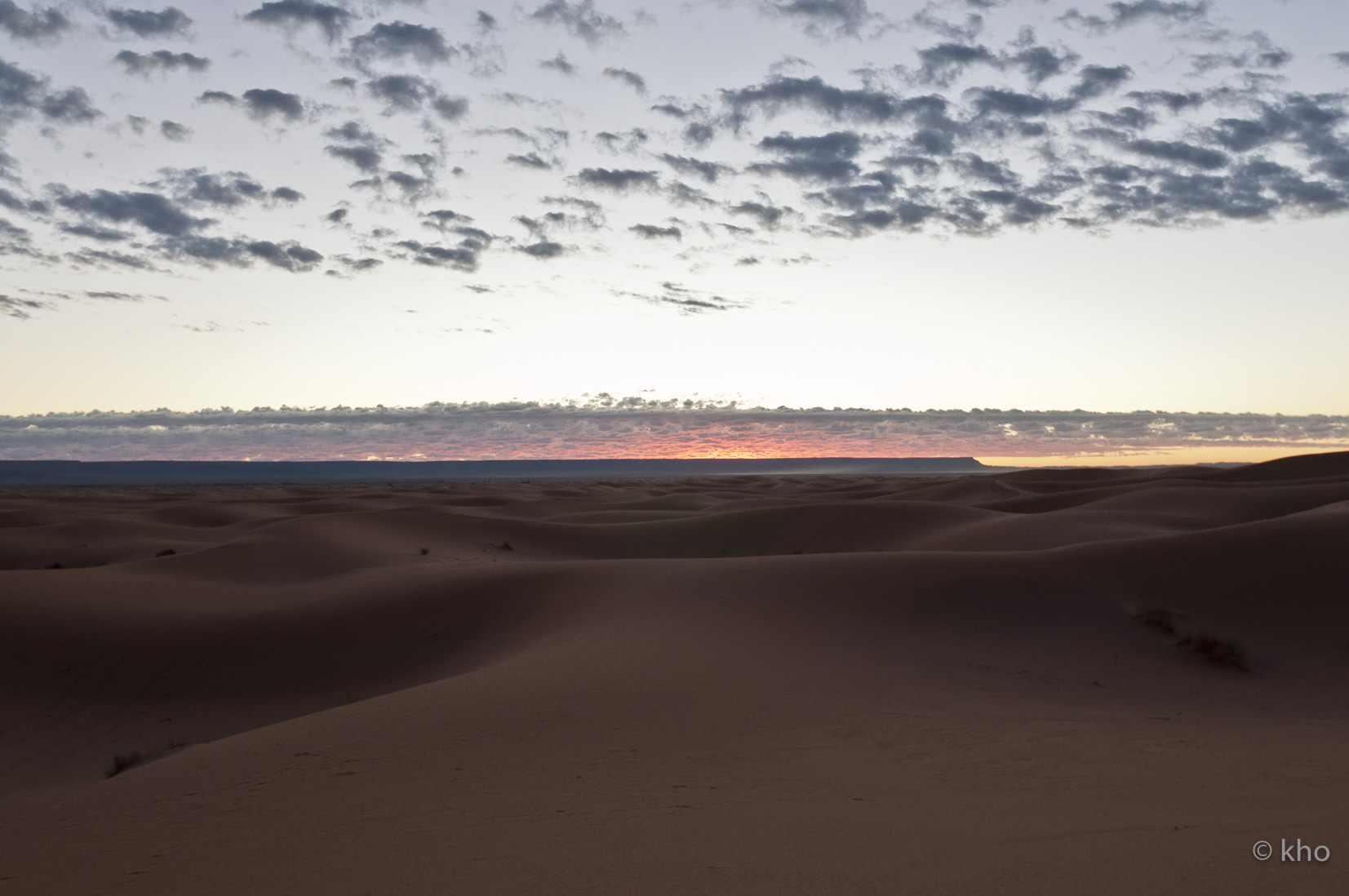 _DSC8798.jpg