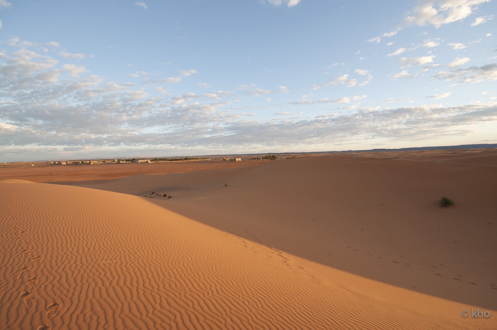 _DSC8889.jpg