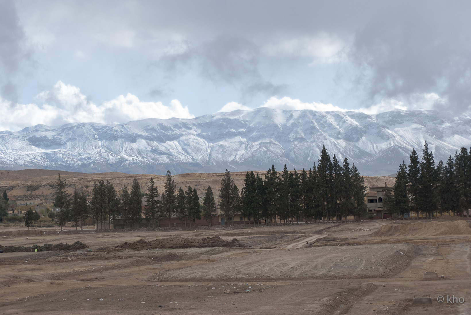 DSC_9493.jpg