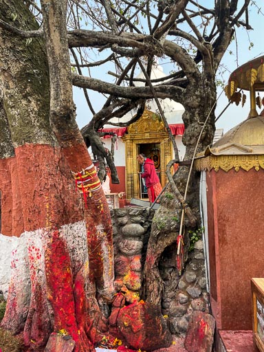 Bindhyabasini Bindhyabasini