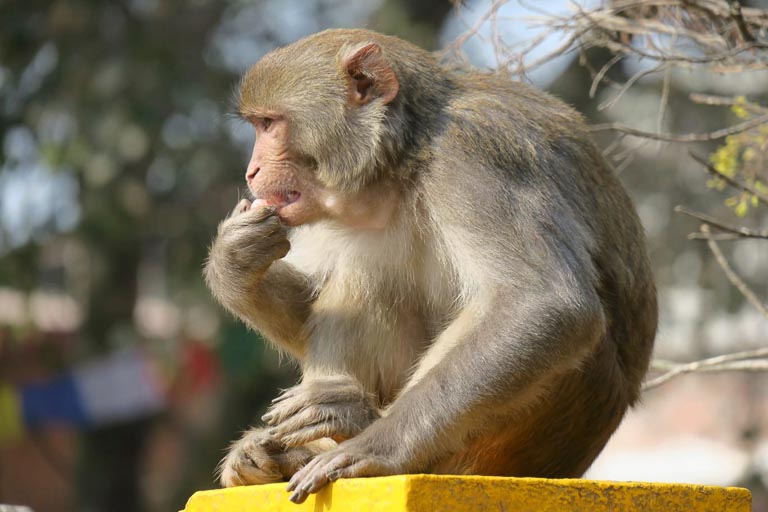 871c18cd-76c5-4f16-b439-02f644a445c1.jpg 871c18cd-76c5-4f16-b439-02f644a445c1.jpg