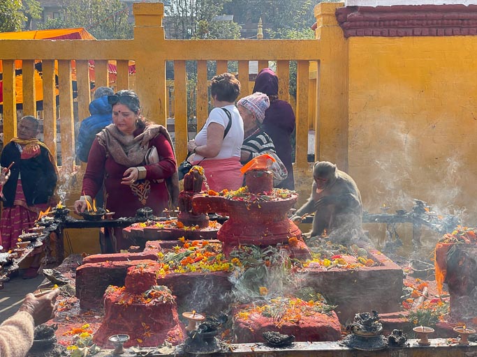 IMG_9160.jpg IMG_9160.jpg