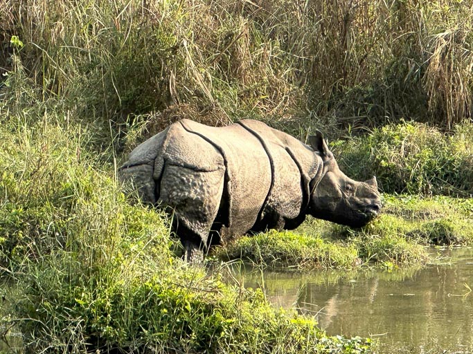 Chitwan