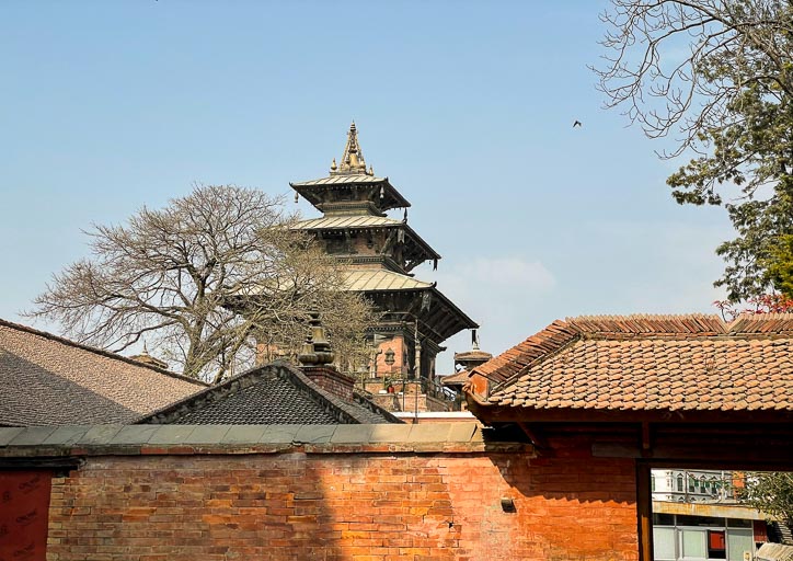 IMG_9382.jpg IMG_9382.jpg