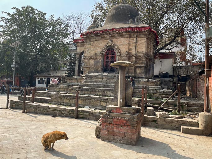 IMG_9399.jpg IMG_9399.jpg