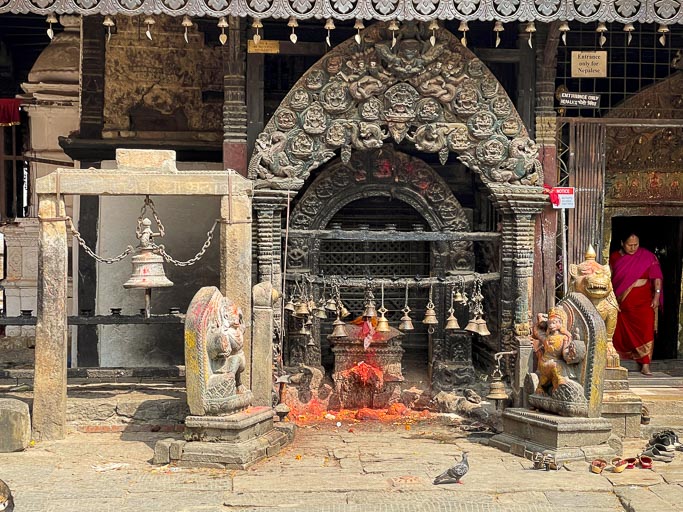 IMG_1218.jpg IMG_1218.jpg