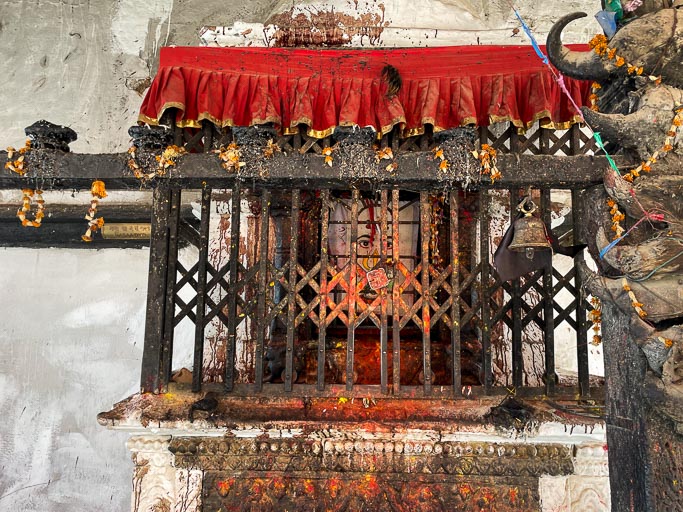 IMG_1222.jpg IMG_1222.jpg