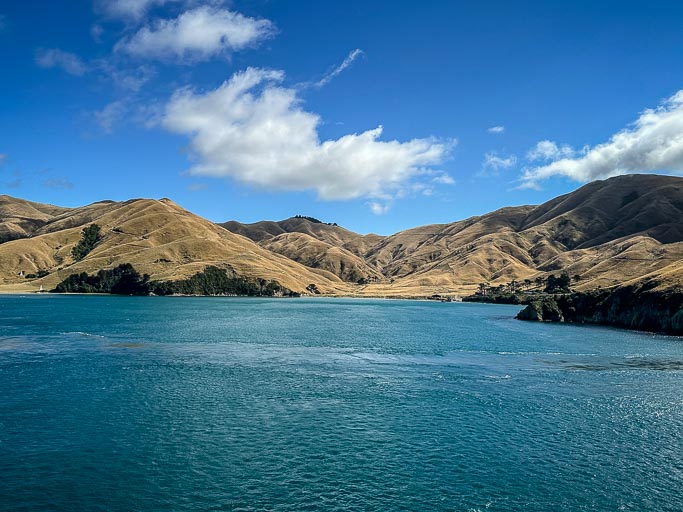 IMG_9821.jpg IMG_9821.jpg