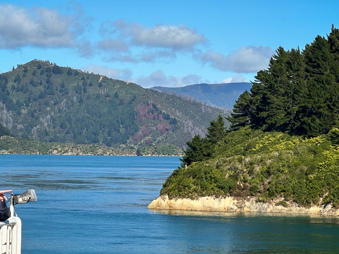 IMG_9857.jpg IMG_9857.jpg