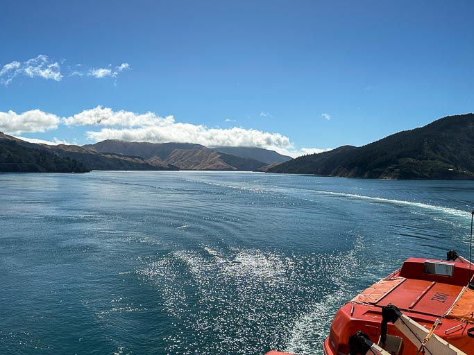 IMG_9865.jpg IMG_9865.jpg