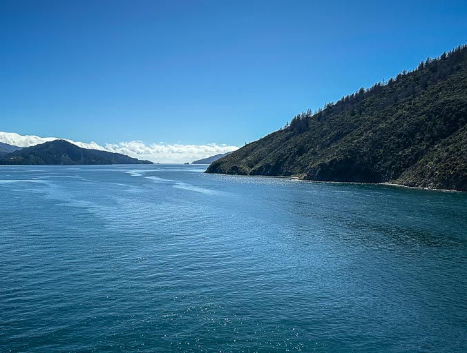 IMG_9889.jpg IMG_9889.jpg