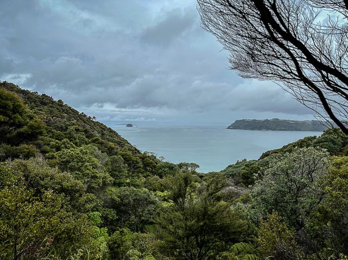 IMG_9141.jpg IMG_9141.jpg