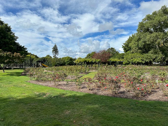 IMG_9273.jpg IMG_9273.jpg