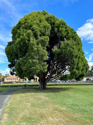 IMG_9278.jpg IMG_9278.jpg