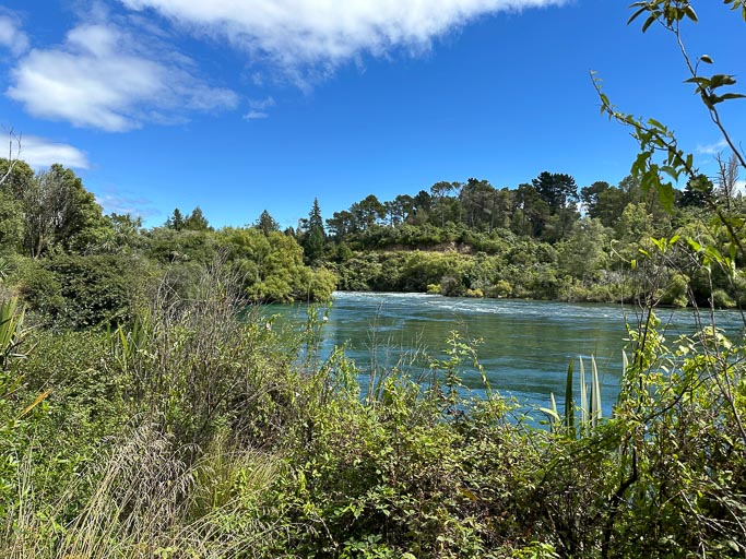 IMG_9505.jpg IMG_9505.jpg