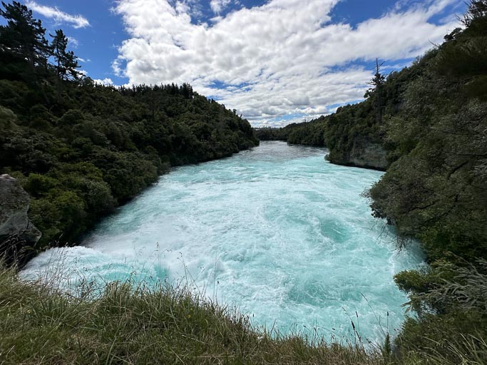 IMG_9509.jpg IMG_9509.jpg