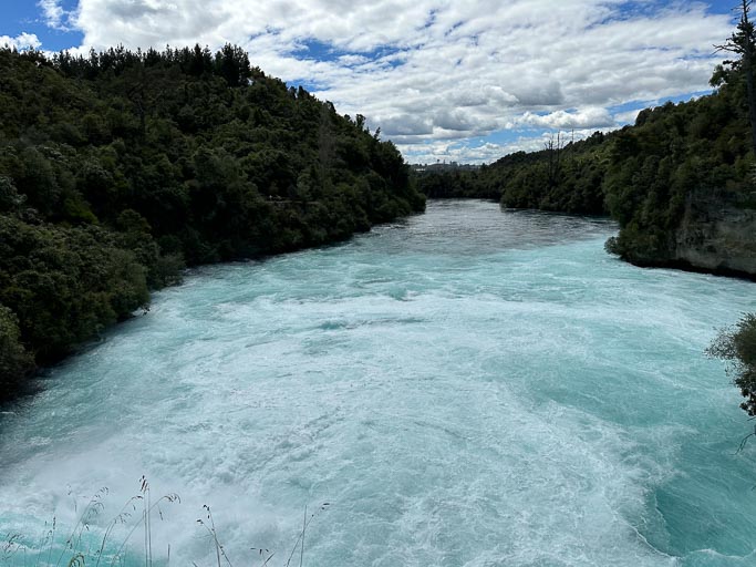 IMG_9510.jpg IMG_9510.jpg