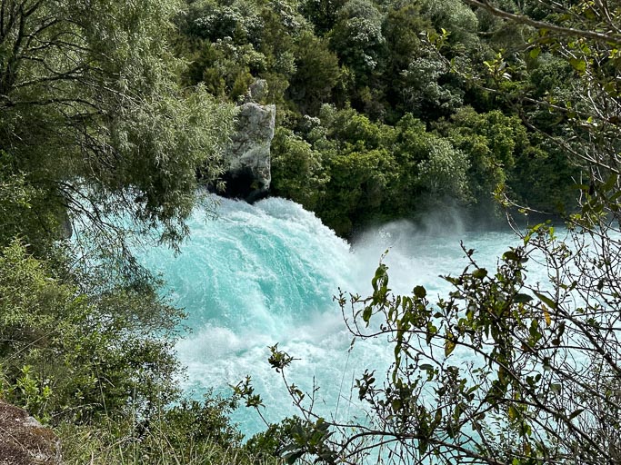 IMG_9513.jpg IMG_9513.jpg