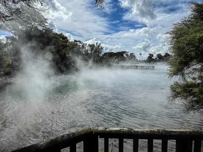 IMG_9229.jpg IMG_9229.jpg