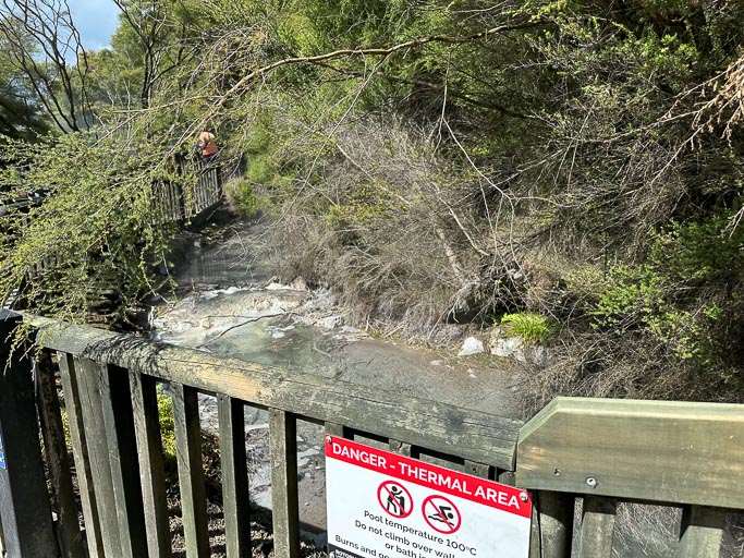 IMG_9233.jpg IMG_9233.jpg