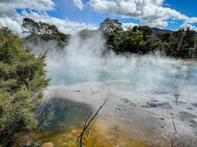 IMG_9238.jpg IMG_9238.jpg