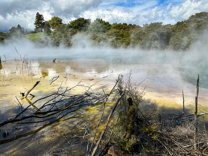 IMG_9254.jpg IMG_9254.jpg