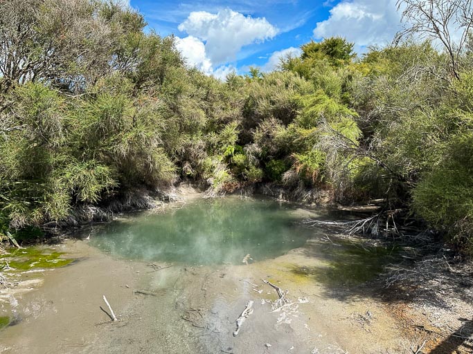 IMG_9259.jpg IMG_9259.jpg