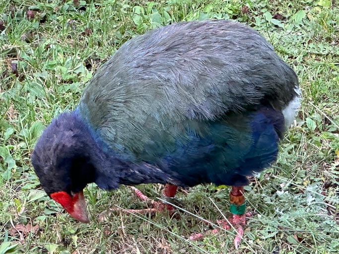 IMG_9719.jpg IMG_9719.jpg