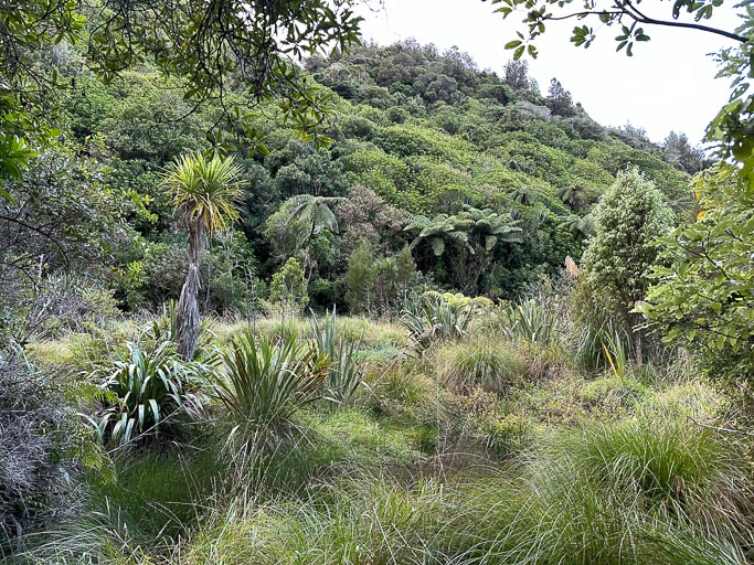 IMG_9720.jpg IMG_9720.jpg