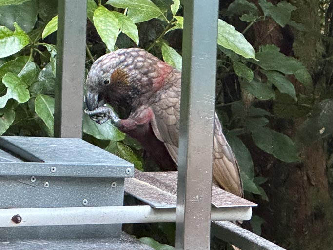 IMG_9723.jpg IMG_9723.jpg