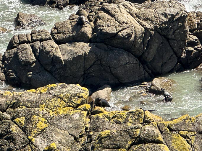 IMG_0120.jpg IMG_0120.jpg