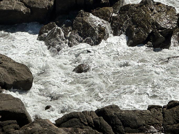 IMG_0122.jpg IMG_0122.jpg