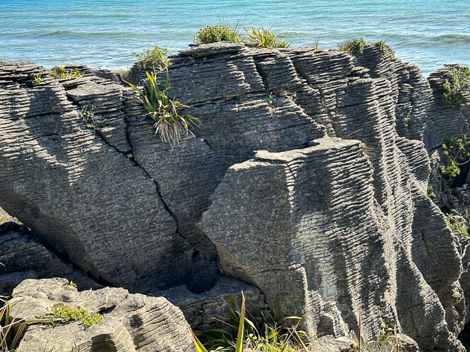Paparoa Nationalpark