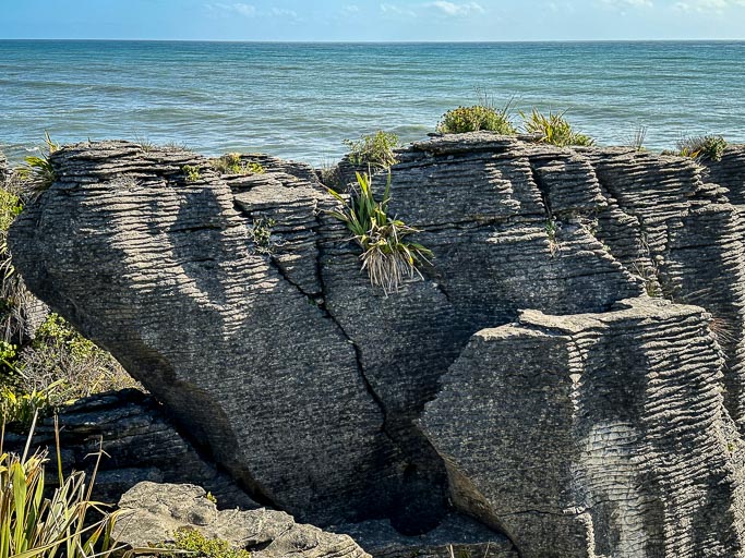 IMG_0223.jpg IMG_0223.jpg