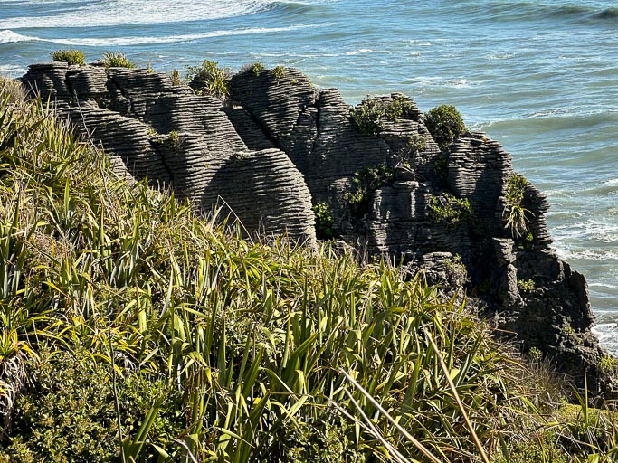 IMG_0242.jpg IMG_0242.jpg