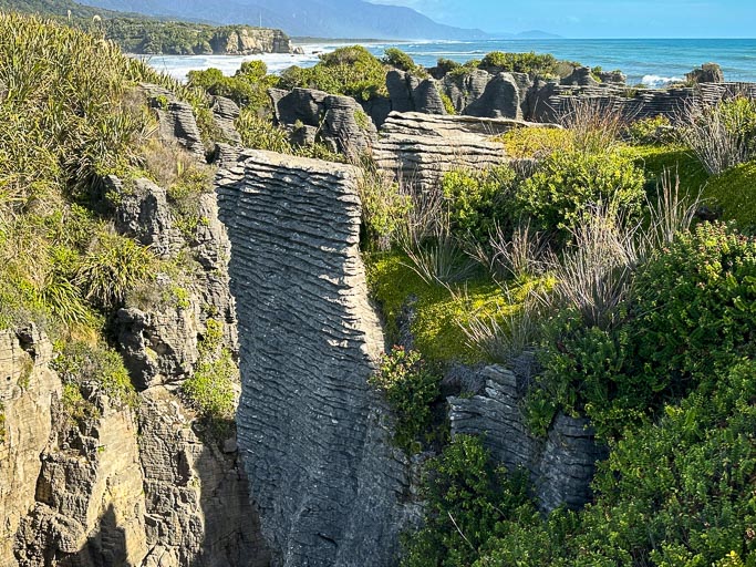 IMG_0260.jpg IMG_0260.jpg