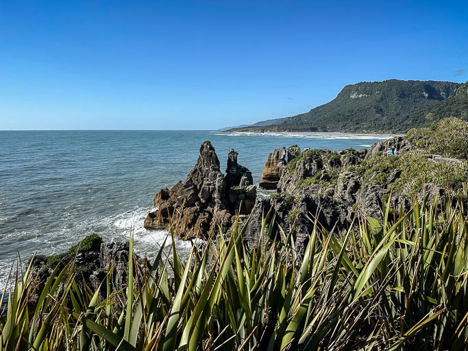 IMG_0288.jpg IMG_0288.jpg