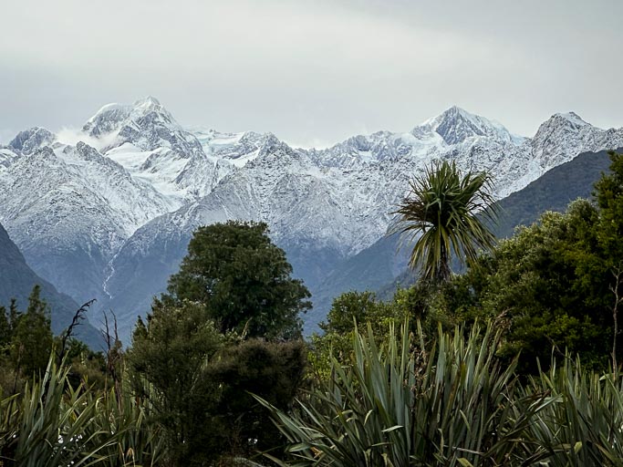 IMG_0499.jpg IMG_0499.jpg