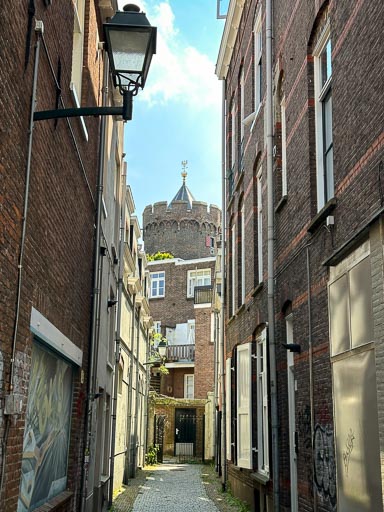 IMG_2934.jpg IMG_2934.jpg